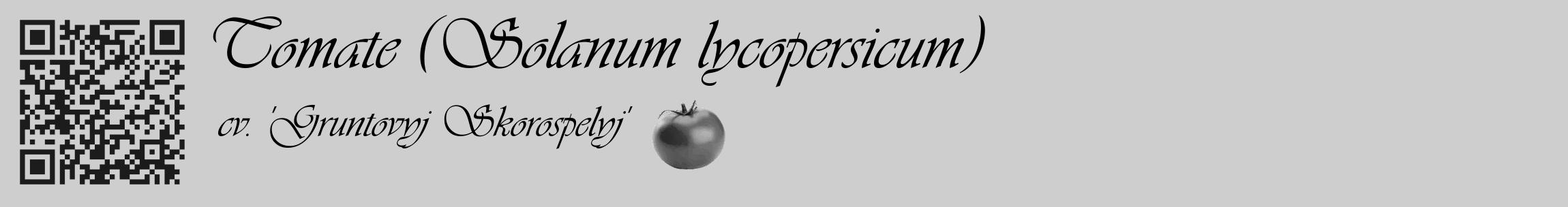 Étiquette de : Solanum lycopersicum cv. 'Gruntovyj Skorospelyj' - format c - style noire17_basique_basiqueviv avec qrcode et comestibilité simplifiée