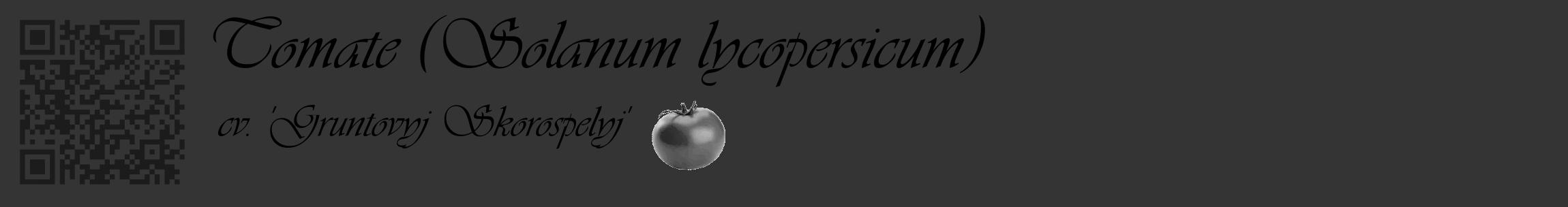 Étiquette de : Solanum lycopersicum cv. 'Gruntovyj Skorospelyj' - format c - style noire46_basique_basiqueviv avec qrcode et comestibilité simplifiée