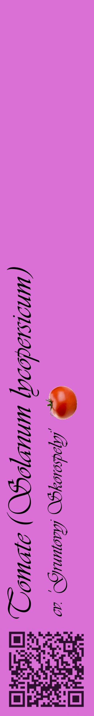 Étiquette de : Solanum lycopersicum cv. 'Gruntovyj Skorospelyj' - format c - style noire52_basiqueviv avec qrcode et comestibilité simplifiée