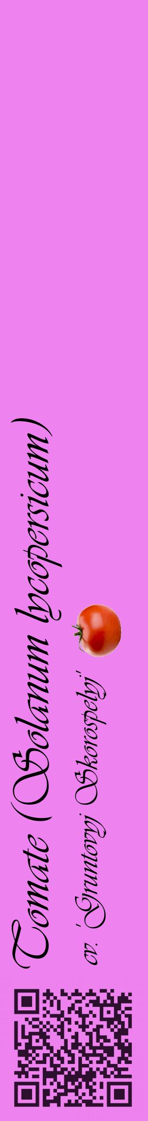Étiquette de : Solanum lycopersicum cv. 'Gruntovyj Skorospelyj' - format c - style noire53_basiqueviv avec qrcode et comestibilité simplifiée