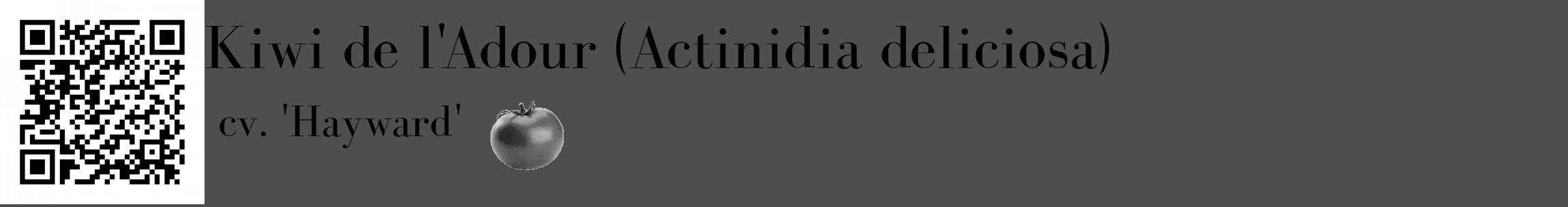 Étiquette de : Actinidia deliciosa cv. 'Hayward' - format c - style noire33_basique_basiquebod avec qrcode et comestibilité simplifiée