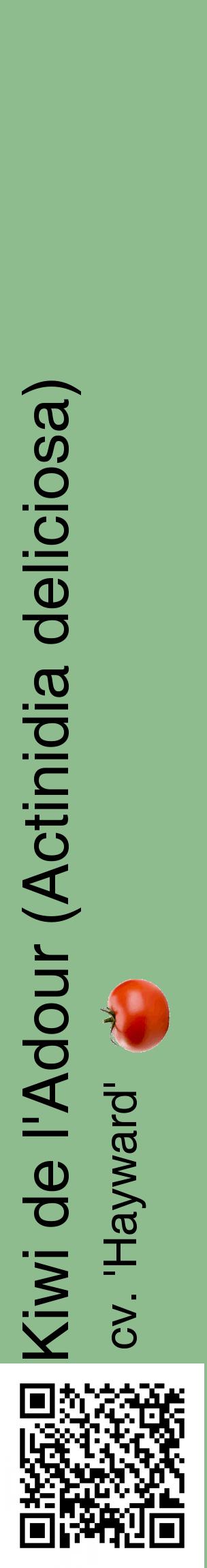 Étiquette de : Actinidia deliciosa cv. 'Hayward' - format c - style noire13_basiquehel avec qrcode et comestibilité simplifiée