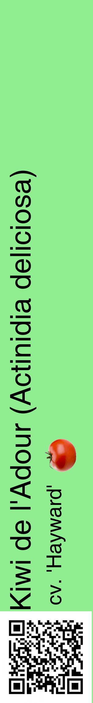 Étiquette de : Actinidia deliciosa cv. 'Hayward' - format c - style noire15_basiquehel avec qrcode et comestibilité simplifiée