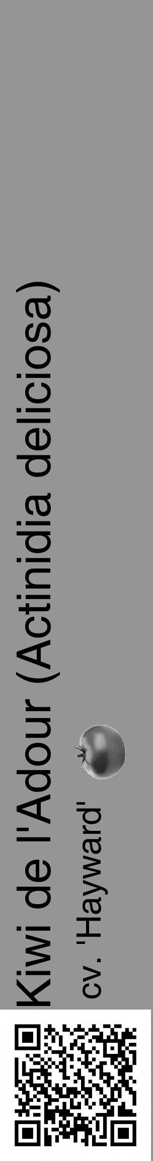 Étiquette de : Actinidia deliciosa cv. 'Hayward' - format c - style noire16_basique_basiquehel avec qrcode et comestibilité simplifiée - position verticale