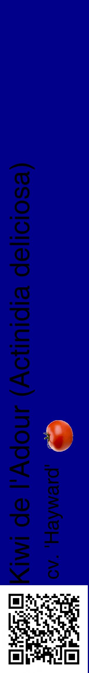 Étiquette de : Actinidia deliciosa cv. 'Hayward' - format c - style noire7_basiquehel avec qrcode et comestibilité simplifiée