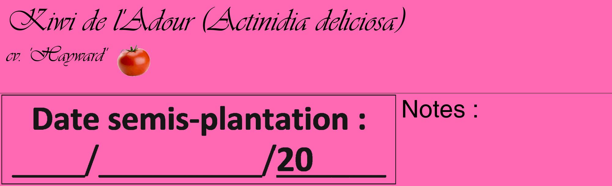Étiquette de : Actinidia deliciosa cv. 'Hayward' - format c - style noire42_basique_basiqueviv avec comestibilité simplifiée