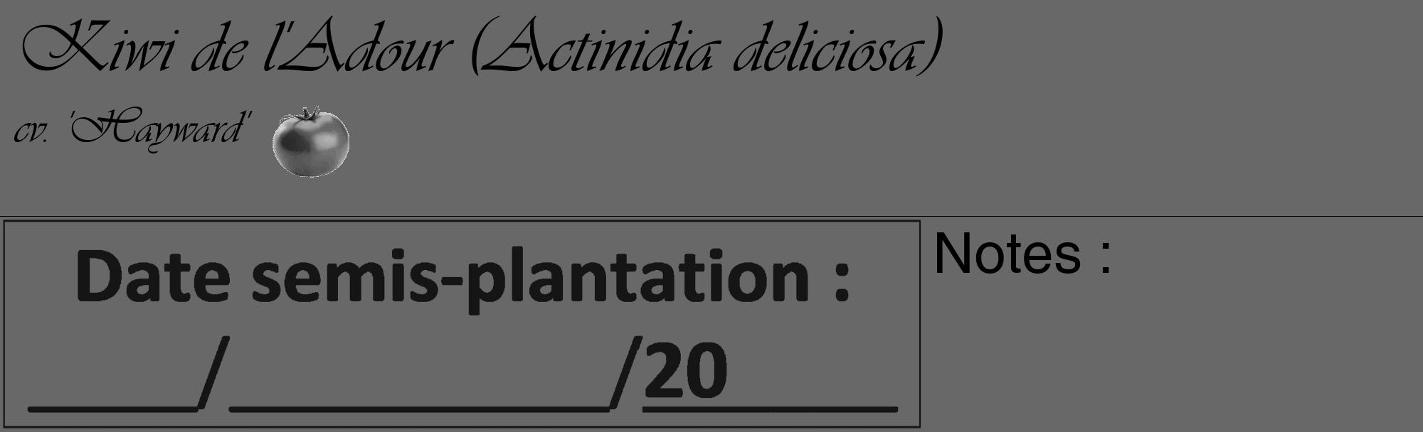 Étiquette de : Actinidia deliciosa cv. 'Hayward' - format c - style noire43_basique_basiqueviv avec comestibilité simplifiée