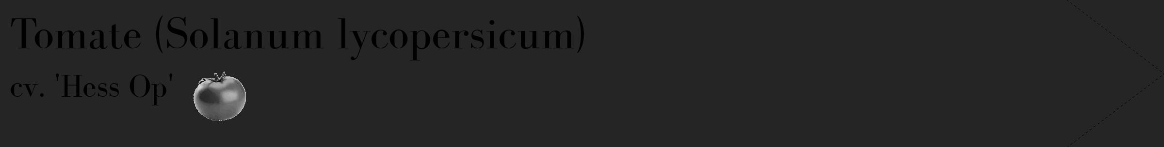 Étiquette de : Solanum lycopersicum cv. 'Hess Op' - format c - style noire47_simple_simplebod avec comestibilité simplifiée