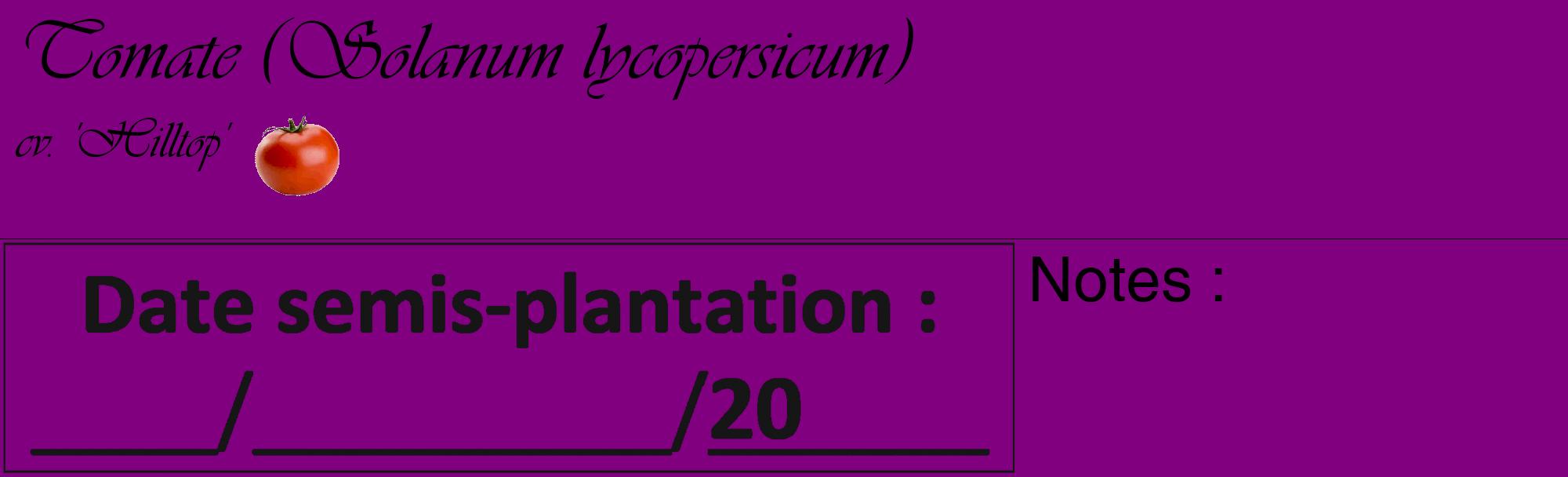 Étiquette de : Solanum lycopersicum cv. 'Hilltop' - format c - style noire46_basique_basiqueviv avec comestibilité simplifiée