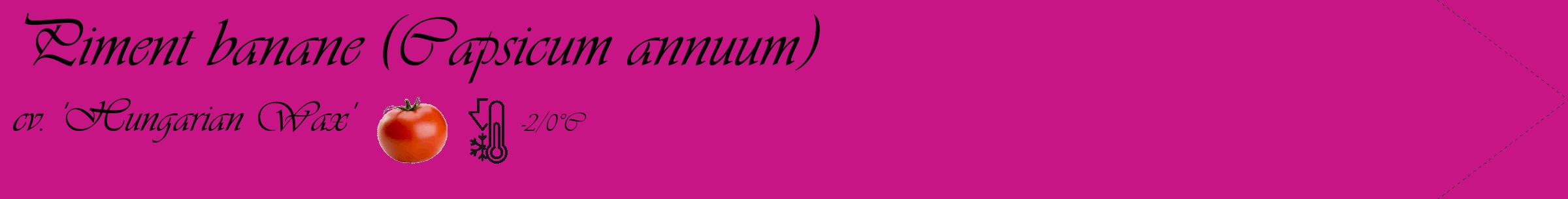 Étiquette de : Capsicum annuum cv. 'Hungarian Wax' - format c - style noire45_simple_simpleviv avec comestibilité simplifiée