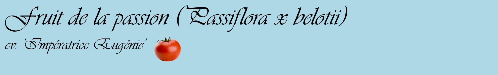 Étiquette de : Passiflora x belotii cv. 'Impératrice Eugénie' - format c - style noire0basique_basique_basiqueviv avec comestibilité simplifiée