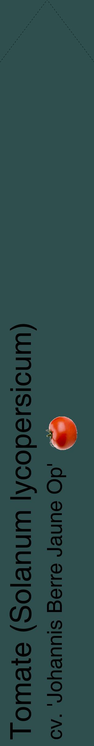 Étiquette de : Solanum lycopersicum cv. 'Johannis Berre Jaune Op' - format c - style noire58_simplehel avec comestibilité simplifiée