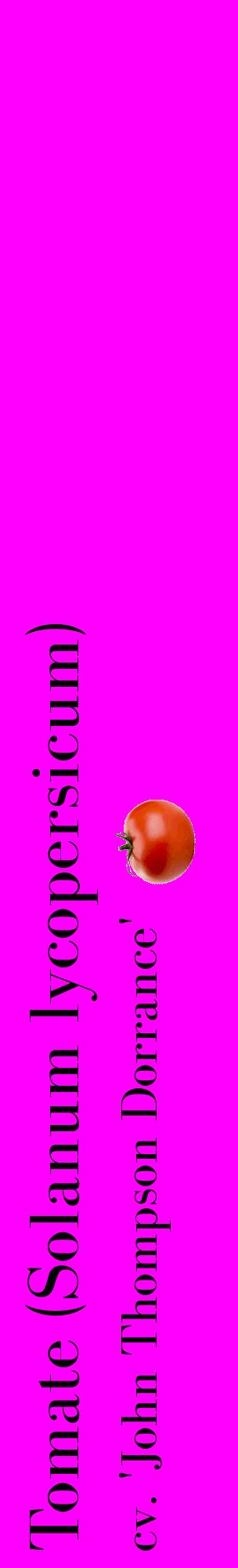 Étiquette de : Solanum lycopersicum cv. 'John Thompson Dorrance' - format c - style noire51_basiquebod avec comestibilité simplifiée