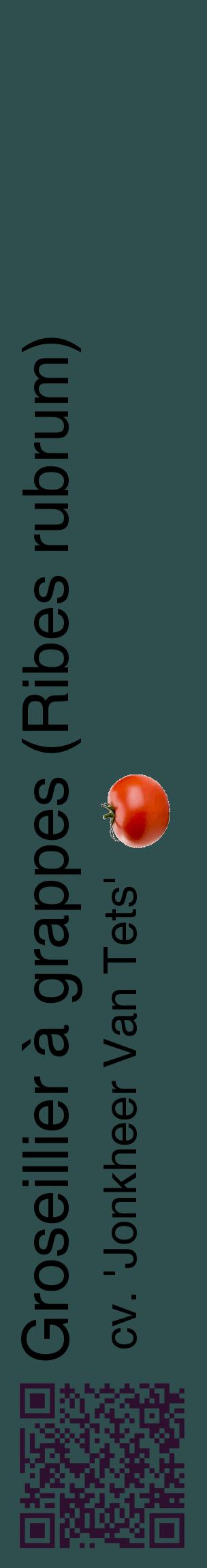 Étiquette de : Ribes rubrum cv. 'Jonkheer Van Tets' - format c - style noire58_basiquehel avec qrcode et comestibilité simplifiée