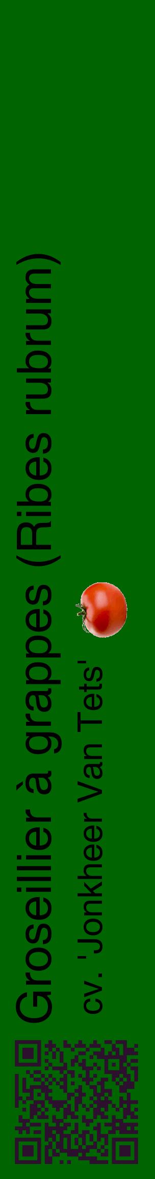 Étiquette de : Ribes rubrum cv. 'Jonkheer Van Tets' - format c - style noire8_basiquehel avec qrcode et comestibilité simplifiée