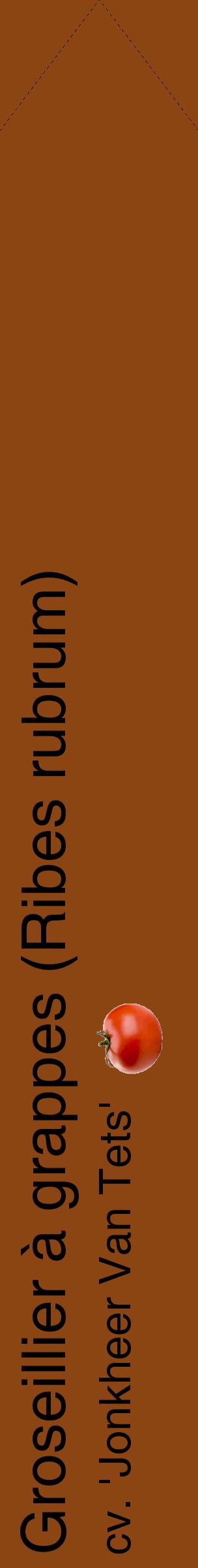 Étiquette de : Ribes rubrum cv. 'Jonkheer Van Tets' - format c - style noire30_simplehel avec comestibilité simplifiée