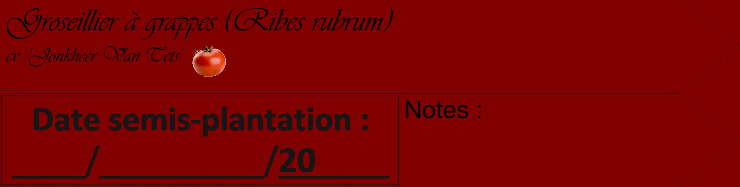 Étiquette de : Ribes rubrum cv. 'Jonkheer Van Tets' - format c - style noire29_simple_simpleviv avec comestibilité simplifiée