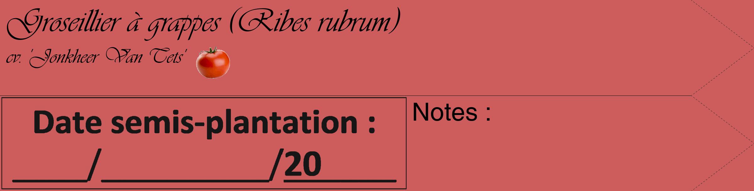Étiquette de : Ribes rubrum cv. 'Jonkheer Van Tets' - format c - style noire35_simple_simpleviv avec comestibilité simplifiée