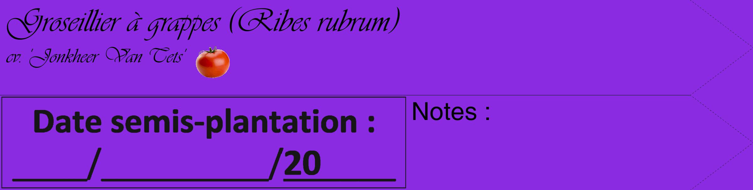 Étiquette de : Ribes rubrum cv. 'Jonkheer Van Tets' - format c - style noire49_simple_simpleviv avec comestibilité simplifiée