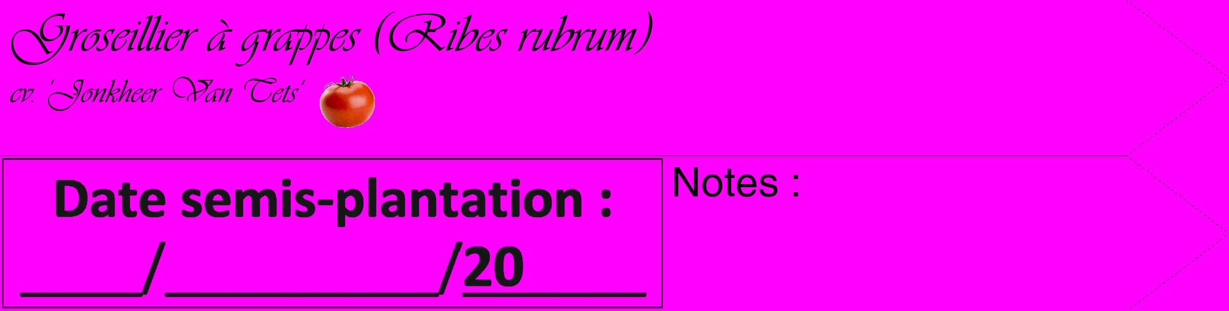 Étiquette de : Ribes rubrum cv. 'Jonkheer Van Tets' - format c - style noire51_simple_simpleviv avec comestibilité simplifiée