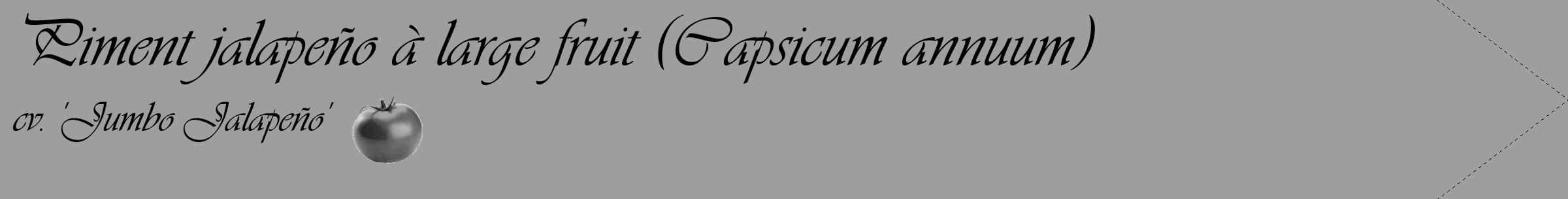 Étiquette de : Capsicum annuum cv. 'Jumbo Jalapeño' - format c - style noire23_simple_simpleviv avec comestibilité simplifiée