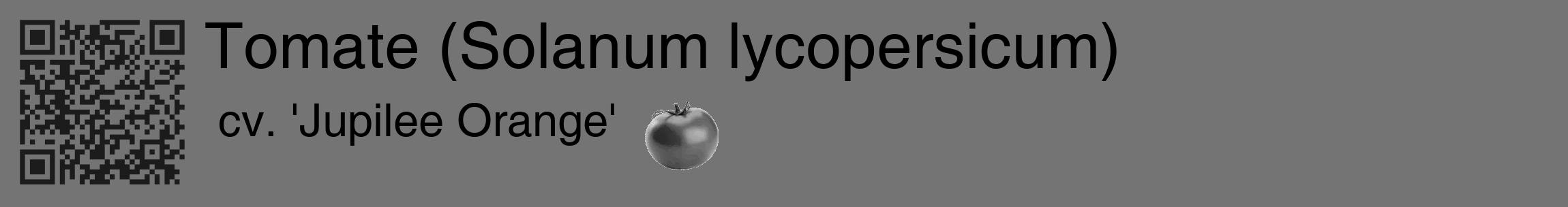 Étiquette de : Solanum lycopersicum cv. 'Jupilee Orange' - format c - style noire26_basique_basiquehel avec qrcode et comestibilité simplifiée