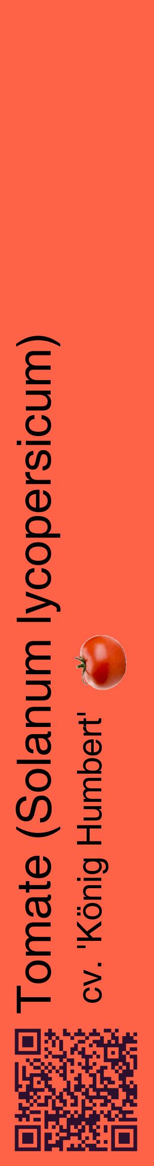Étiquette de : Solanum lycopersicum cv. 'König Humbert' - format c - style noire25_basiquehel avec qrcode et comestibilité simplifiée