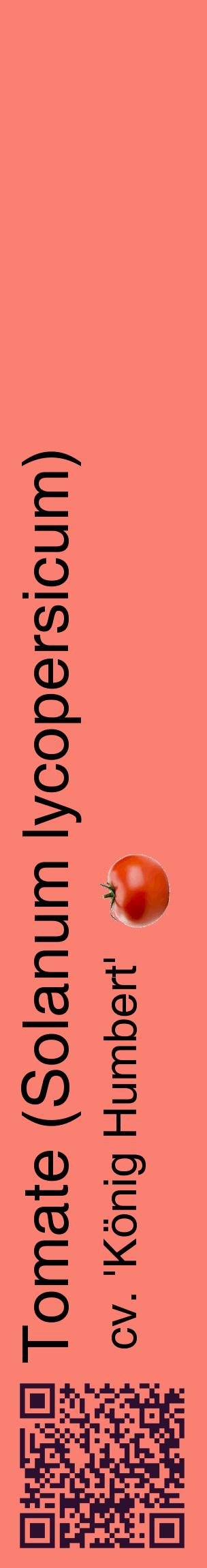Étiquette de : Solanum lycopersicum cv. 'König Humbert' - format c - style noire38_basiquehel avec qrcode et comestibilité simplifiée