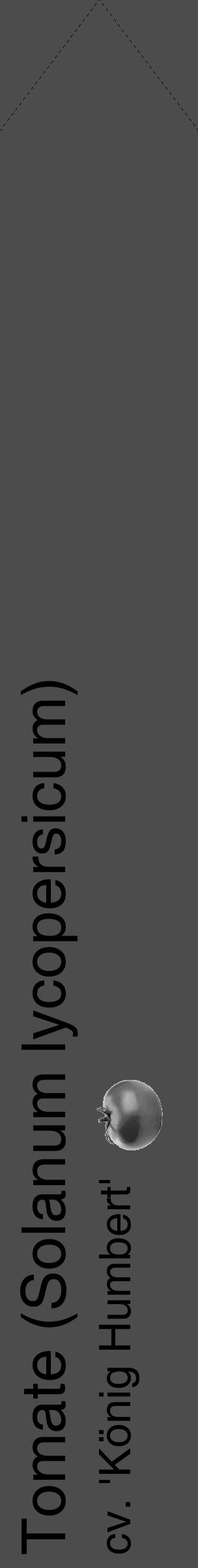 Étiquette de : Solanum lycopersicum cv. 'König Humbert' - format c - style noire27_simple_simplehel avec comestibilité simplifiée - position verticale