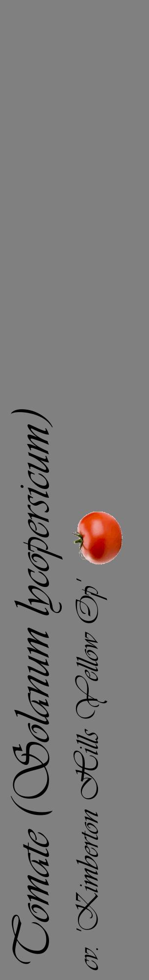 Étiquette de : Solanum lycopersicum cv. 'Kimberton Hills Yellow Op' - format c - style noire57_basiqueviv avec comestibilité simplifiée