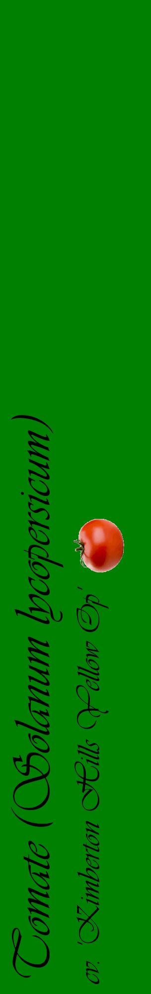 Étiquette de : Solanum lycopersicum cv. 'Kimberton Hills Yellow Op' - format c - style noire9_basiqueviv avec comestibilité simplifiée
