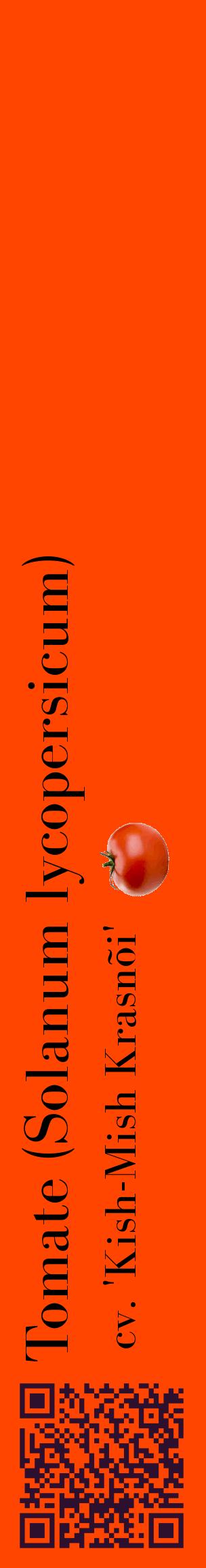 Étiquette de : Solanum lycopersicum cv. 'Kish-Mish Krasnõi' - format c - style noire26_basiquebod avec qrcode et comestibilité simplifiée