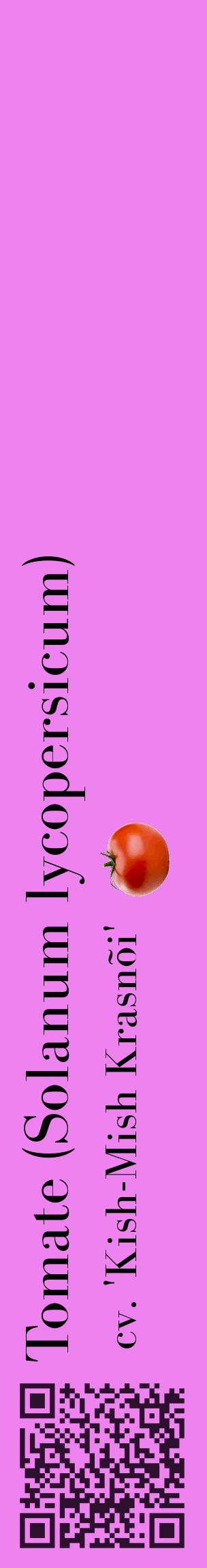 Étiquette de : Solanum lycopersicum cv. 'Kish-Mish Krasnõi' - format c - style noire53_basiquebod avec qrcode et comestibilité simplifiée
