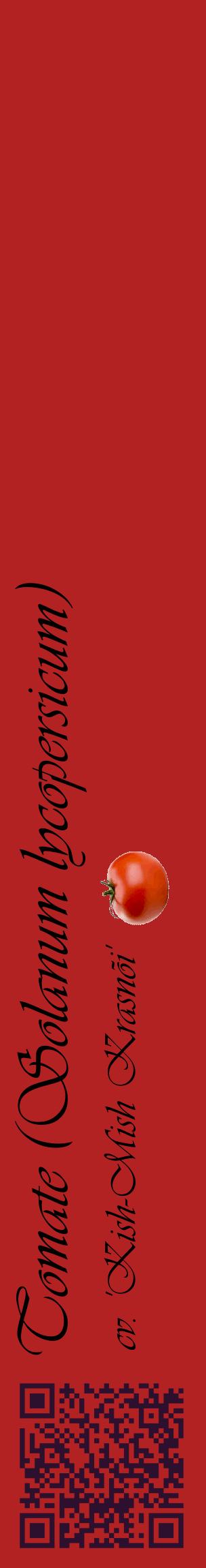 Étiquette de : Solanum lycopersicum cv. 'Kish-Mish Krasnõi' - format c - style noire28_basiqueviv avec qrcode et comestibilité simplifiée
