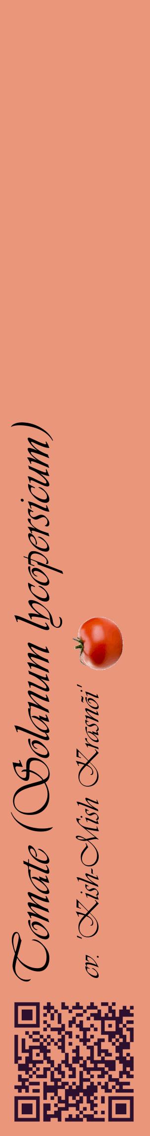 Étiquette de : Solanum lycopersicum cv. 'Kish-Mish Krasnõi' - format c - style noire37_basiqueviv avec qrcode et comestibilité simplifiée