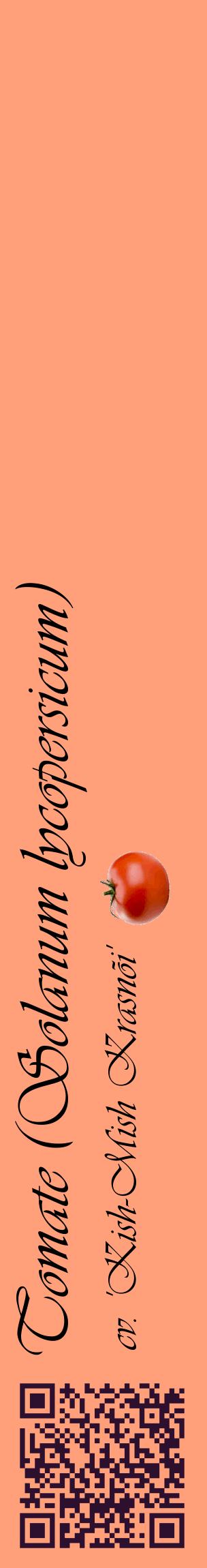 Étiquette de : Solanum lycopersicum cv. 'Kish-Mish Krasnõi' - format c - style noire39_basiqueviv avec qrcode et comestibilité simplifiée