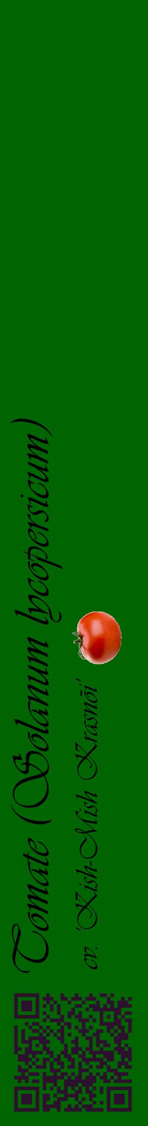 Étiquette de : Solanum lycopersicum cv. 'Kish-Mish Krasnõi' - format c - style noire8_basiqueviv avec qrcode et comestibilité simplifiée