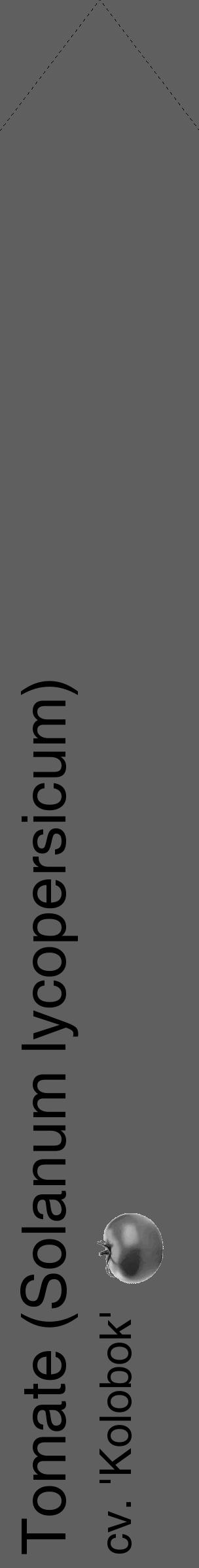 Étiquette de : Solanum lycopersicum cv. 'Kolobok' - format c - style noire10_simple_simplehel avec comestibilité simplifiée - position verticale