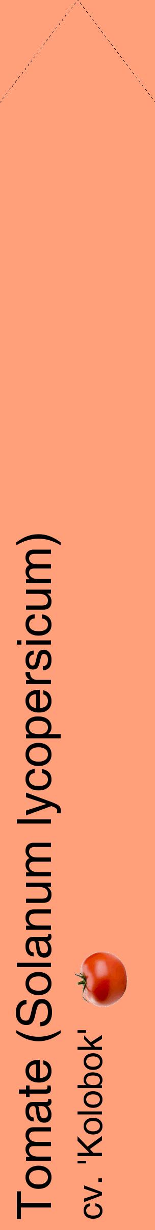 Étiquette de : Solanum lycopersicum cv. 'Kolobok' - format c - style noire39_simplehel avec comestibilité simplifiée