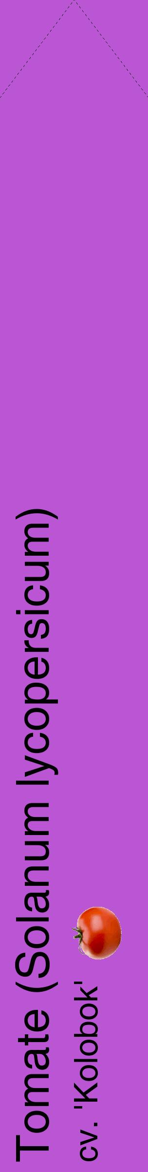 Étiquette de : Solanum lycopersicum cv. 'Kolobok' - format c - style noire50_simplehel avec comestibilité simplifiée