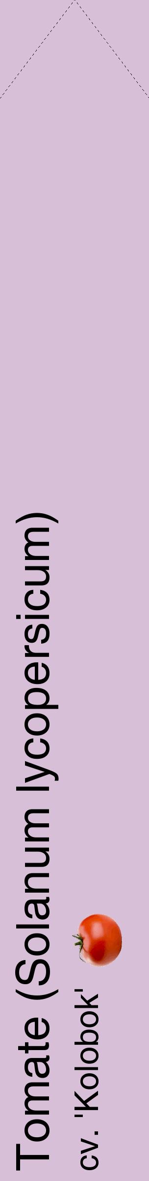 Étiquette de : Solanum lycopersicum cv. 'Kolobok' - format c - style noire54_simplehel avec comestibilité simplifiée
