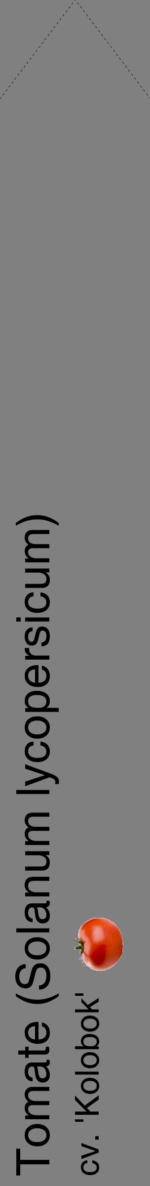 Étiquette de : Solanum lycopersicum cv. 'Kolobok' - format c - style noire57_simplehel avec comestibilité simplifiée
