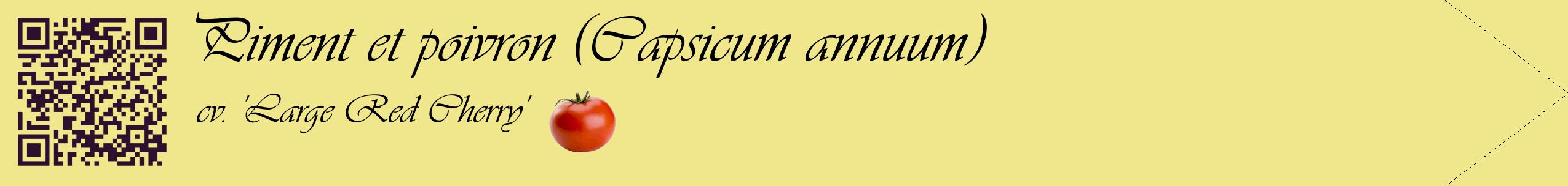 Étiquette de : Capsicum annuum cv. 'Large Red Cherry' - format c - style noire20simple_basique_basiqueviv avec qrcode et comestibilité simplifiée