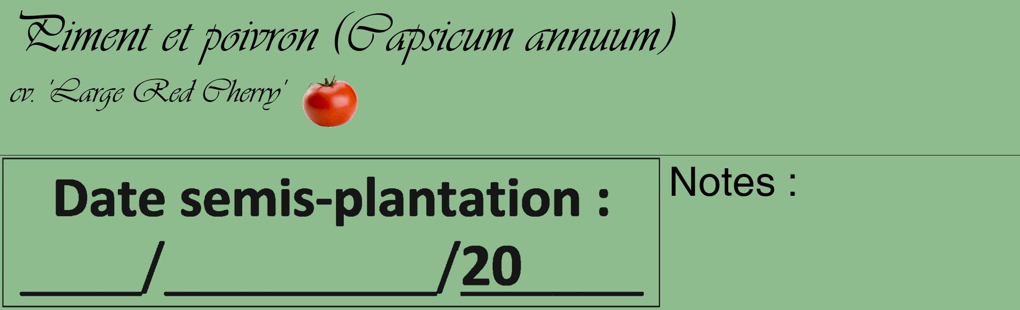 Étiquette de : Capsicum annuum cv. 'Large Red Cherry' - format c - style noire13_basique_basiqueviv avec comestibilité simplifiée