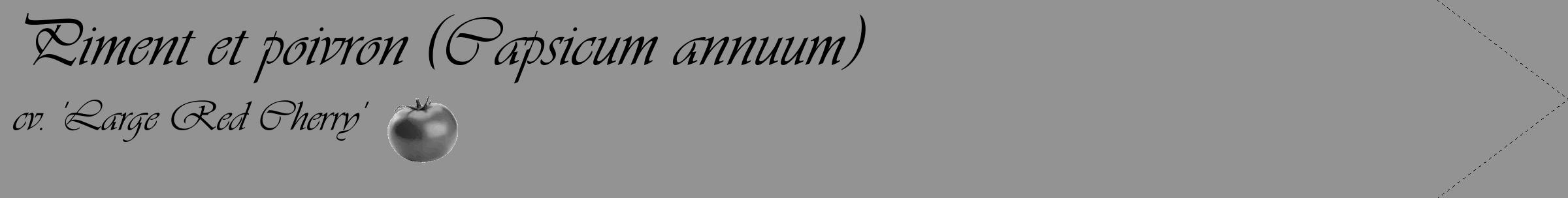 Étiquette de : Capsicum annuum cv. 'Large Red Cherry' - format c - style noire44_simple_simpleviv avec comestibilité simplifiée