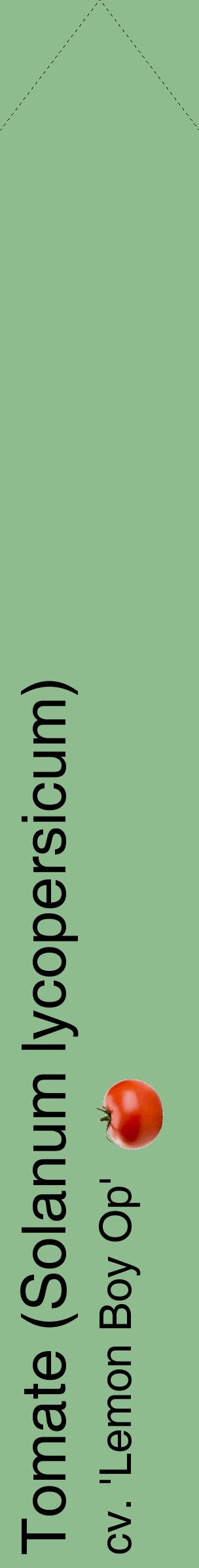 Étiquette de : Solanum lycopersicum cv. 'Lemon Boy Op' - format c - style noire13_simplehel avec comestibilité simplifiée