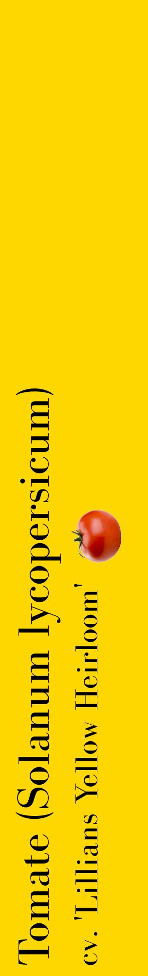 Étiquette de : Solanum lycopersicum cv. 'Lillians Yellow Heirloom' - format c - style noire21_basiquebod avec comestibilité simplifiée