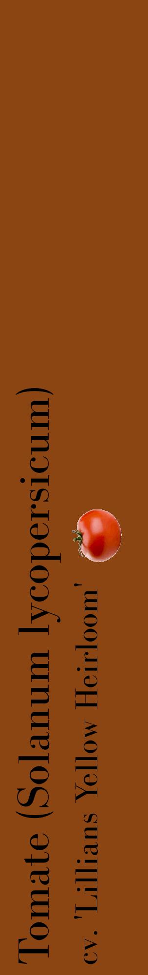 Étiquette de : Solanum lycopersicum cv. 'Lillians Yellow Heirloom' - format c - style noire30_basiquebod avec comestibilité simplifiée