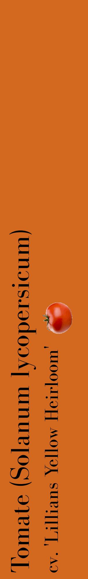 Étiquette de : Solanum lycopersicum cv. 'Lillians Yellow Heirloom' - format c - style noire31_basiquebod avec comestibilité simplifiée