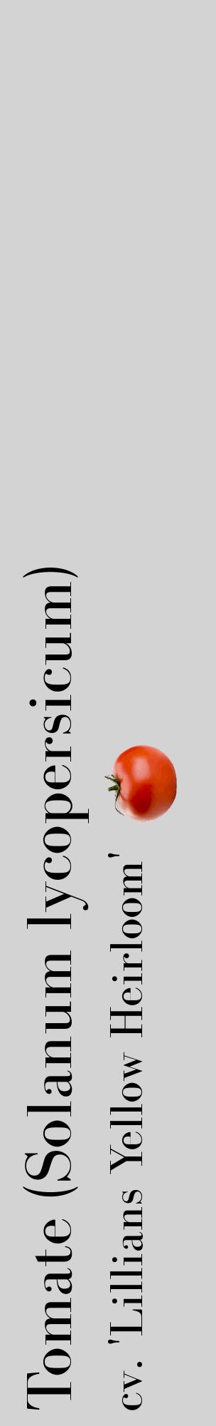 Étiquette de : Solanum lycopersicum cv. 'Lillians Yellow Heirloom' - format c - style noire56_basiquebod avec comestibilité simplifiée